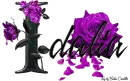 Purple Roses - Idalia