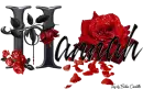 Red Roses - Hannah