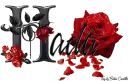 Red Roses - Hada