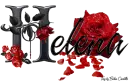 Red Roses - Helena