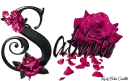 Pink Roses - Sabina