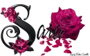 Pink Roses - Sara