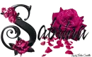 Pink Roses - Sabrina