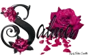 Pink Roses - Salma