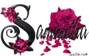 Pink Roses - Samantha