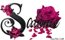 Pink Roses - Salome