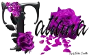 Purple Roses - Tatiana