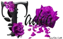 Purple Roses - Tadea