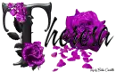 Purple Roses - Theresa