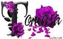 Purple Roses - Tomasa