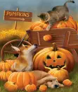 Harvest Pals