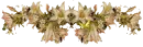 Flower - div