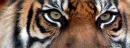 I see you.... 