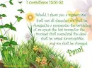 Pami - 1 Corinthians - Flowers