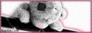 Lonely bear