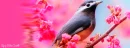 Fantasy Bird