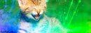 Kittie