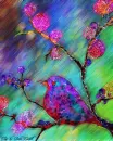 Rainbow rain
