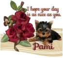 A day as nice as you- Pami