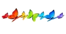 Butterflies