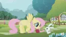Fluttershy â™¥â™¥â™¥