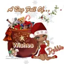 Robbie - A Bag Full - Wishes