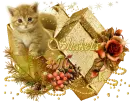 Glitter Text -Shakela