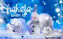Cutie - Shakela loves it