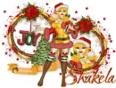 Holiday wishes-Shakela