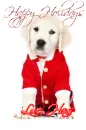 Holiday Hans
