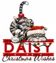 Christmas wishes Daisy