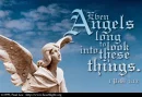 angels