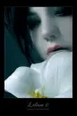 fragile