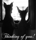 Thinking of U!