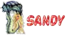 Sandy