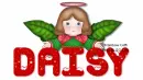 Daisy