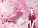 Sakura from Naruto