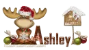 Christmas Moose_Ashley