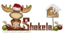 Christmas Moose_Shakela
