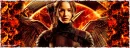 The Hunger Games - Mockingjay
