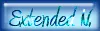 Extended network