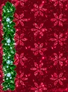 Christmas Collection