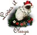 Olesya Loves It
