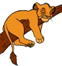 Simba naps on a branch