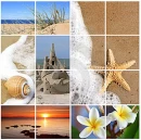 Tropical Summer Background