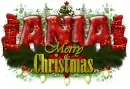 Ania-A golden Christmas