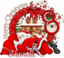 Merry Christmas-Shanelle