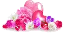 Hearts