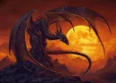 dragon night