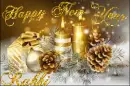 Happy New Year  Rakhi